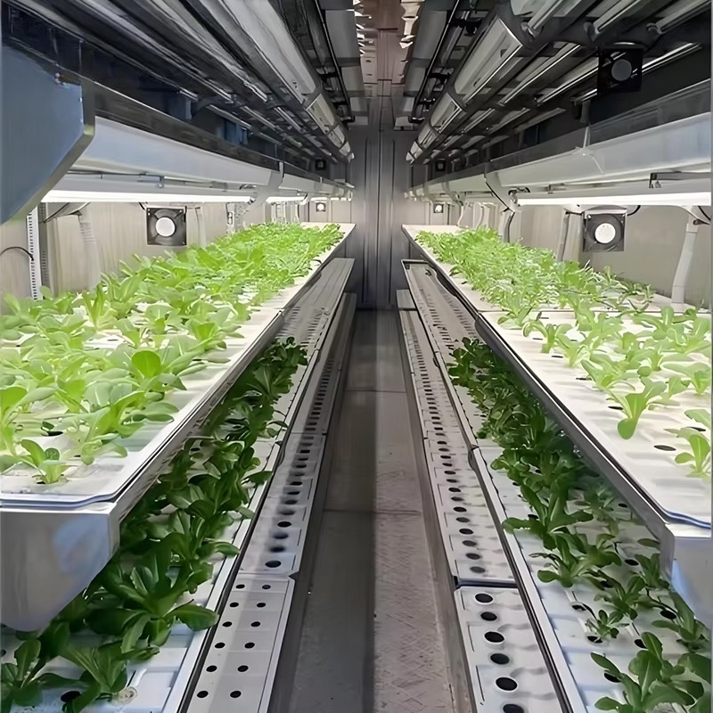 Smart Planting Container Verti - Urban Farming Vertical 评论和价格