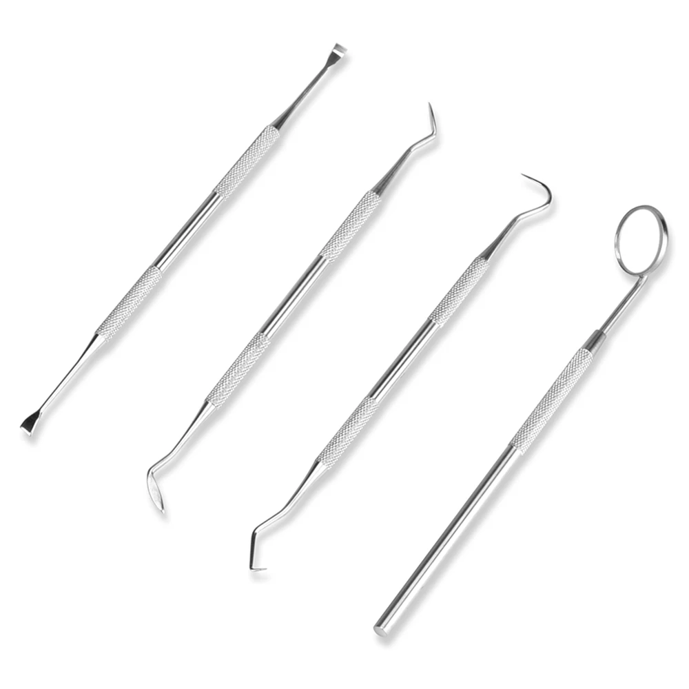 4pcs/Set Tartar Scraper Scaler - Urban Farming System 评论和价格