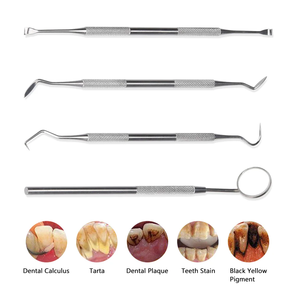 4pcs/Set Tartar Scraper Scaler - Urban Farming System 评论和价格